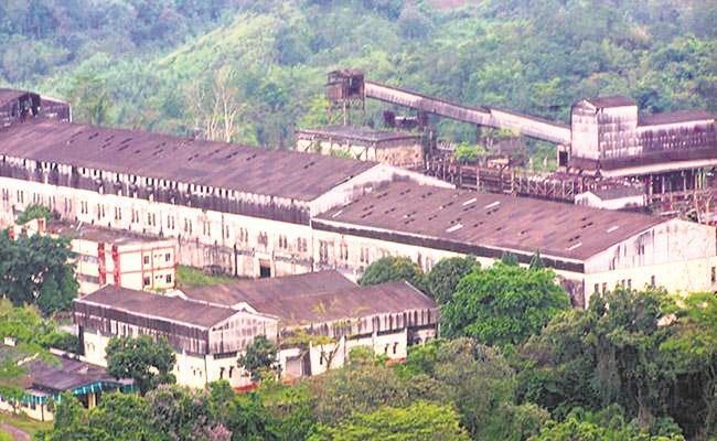 NAGALAND PULP & PAPER MILL